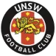 Logo University NSW